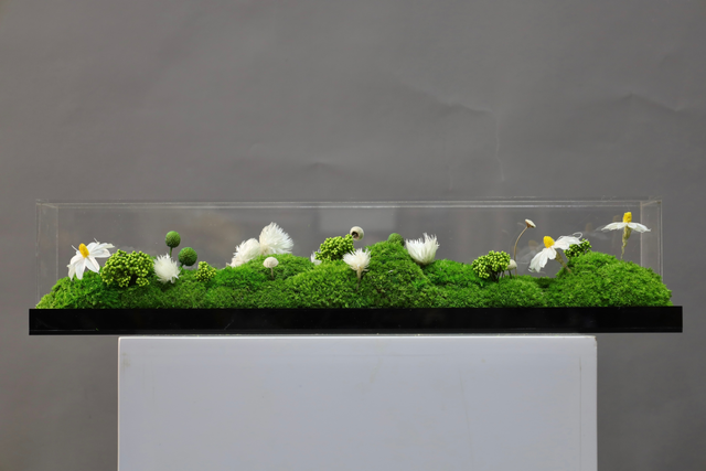 仿真苔藓造景 · MY-T-0063