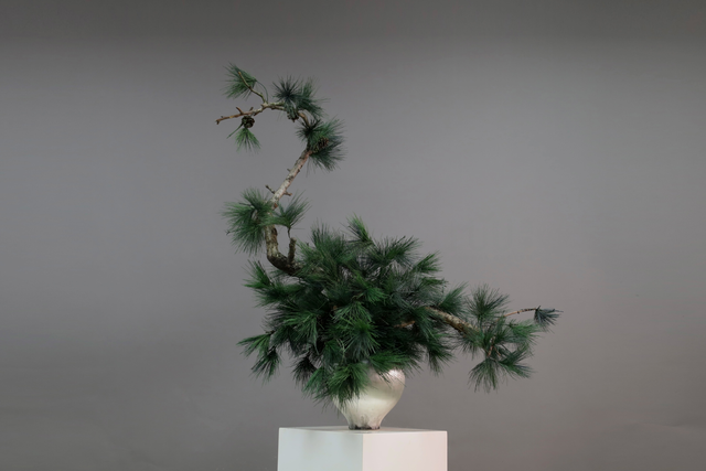 绿色 · 仿真花艺 · 图片编号 MY-M1-0612
