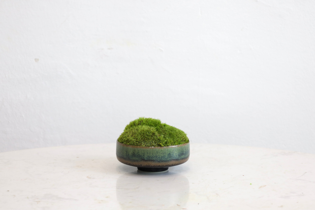 仿真苔藓造景 · MY-T-0020