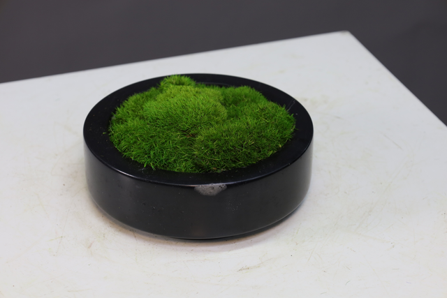 仿真苔藓造景 · MY-T-0171