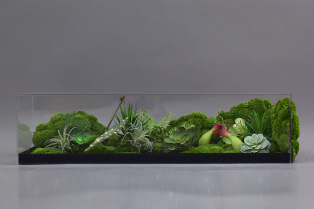 仿真苔藓造景 · MY-T-0210