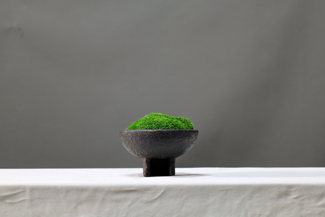 仿真苔藓造景 · MY-T-0049