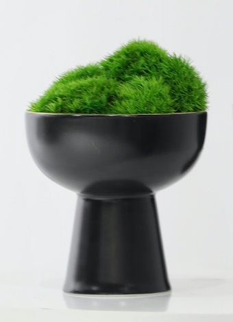 苔藓 · 仿真苔藓造景 · 图片编号 MY-B3-0289