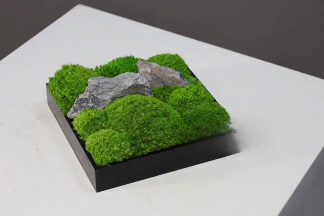 仿真苔藓造景 · MY-T-0053