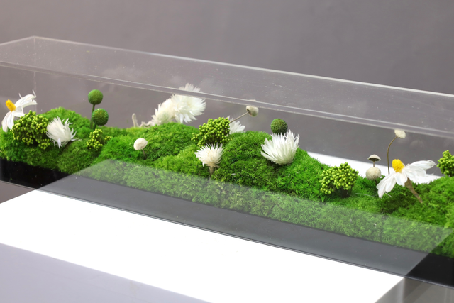 仿真苔藓造景 · MY-T-0065