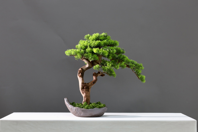 仿真苔藓造景 · MY-T-0130