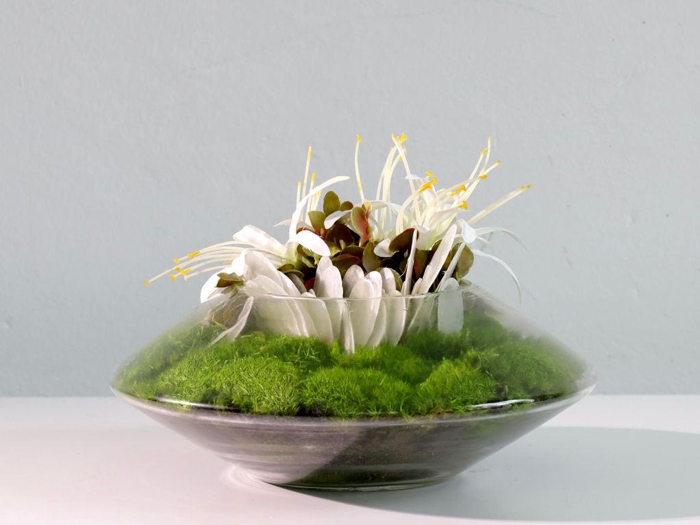 仿真苔藓造景 · MY-T-0185