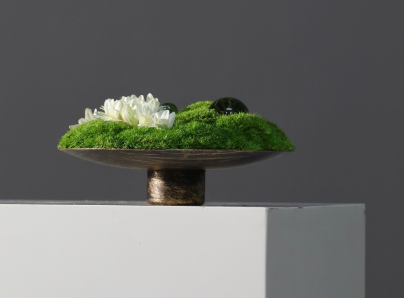 苔藓 · 仿真苔藓造景 · 图片编号 MY-B3-0284