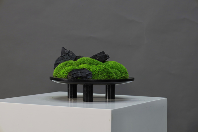 仿真苔藓造景 · MY-T-0052