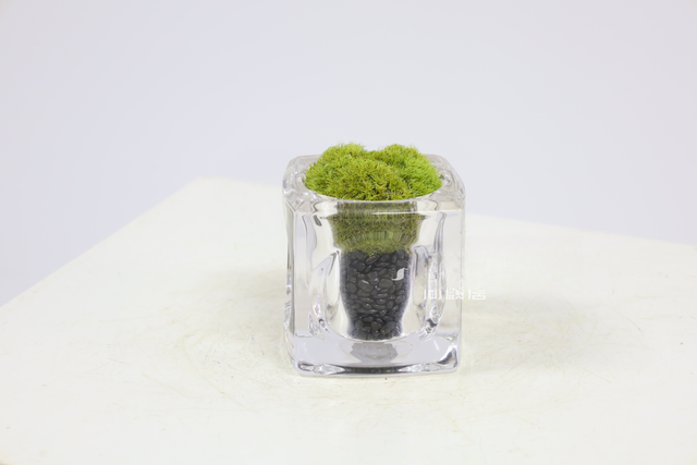 仿真苔藓造景 · MY-T-0039