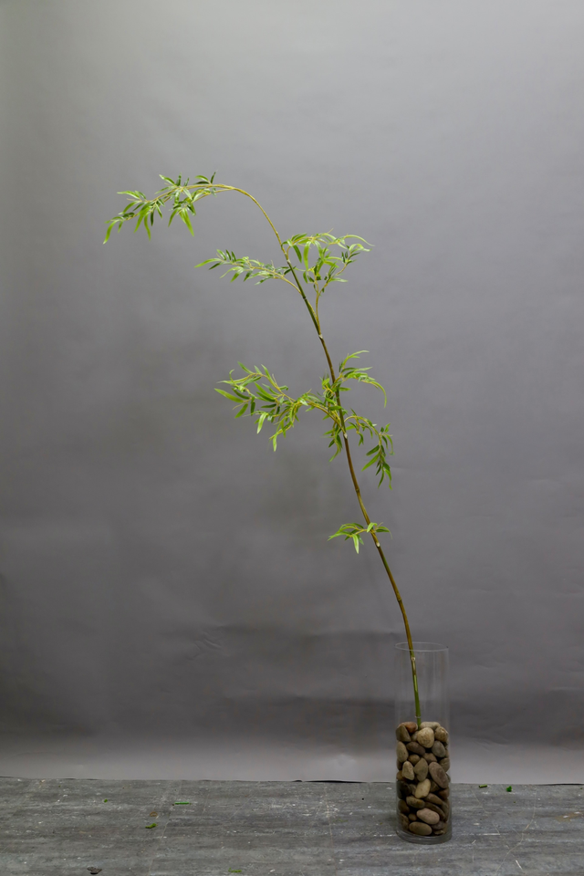 仿真花艺作品 · MY-M2-0183
