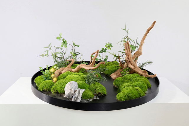 仿真苔藓造景 · MY-T-0095