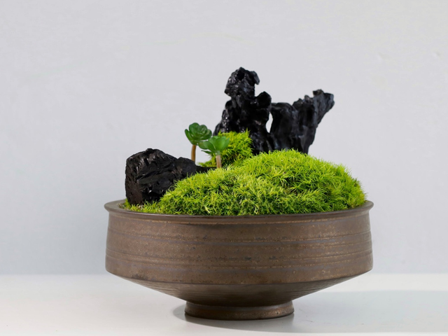 仿真苔藓造景 · MY-T-0107