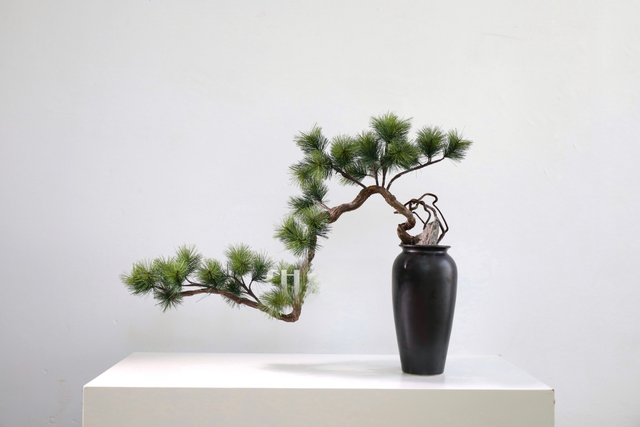 仿真苔藓造景 · MY-T-0157