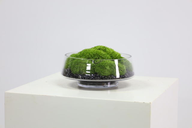 仿真苔藓造景 · MY-T-0054
