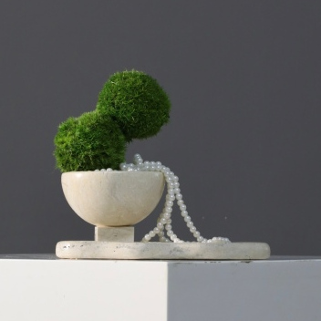 苔藓 · 仿真苔藓造景 · 图片编号 MY-B3-0292