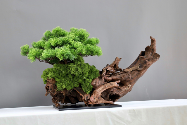 仿真苔藓造景 · MY-T-0116