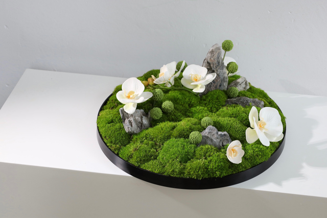 仿真苔藓造景 · MY-T-0142