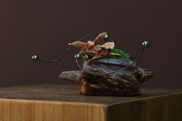 苔藓 · 仿真苔藓造景,20 × 16 × 11 cm