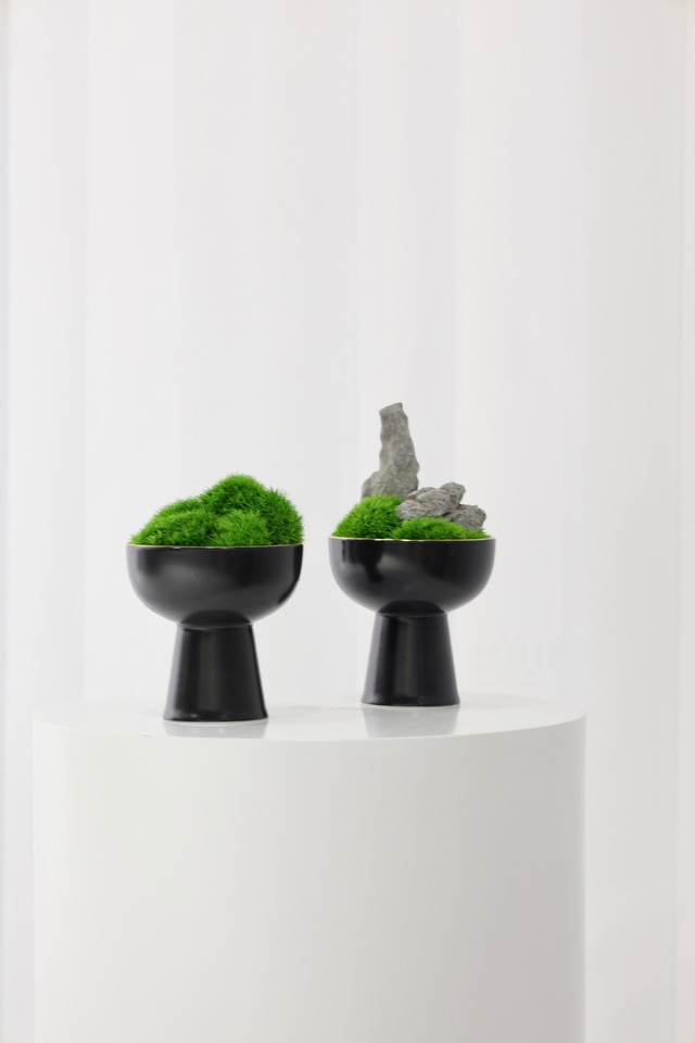 仿真苔藓造景 · MY-T-0045