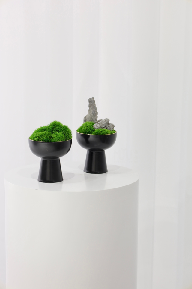 仿真苔藓造景 · MY-T-0047