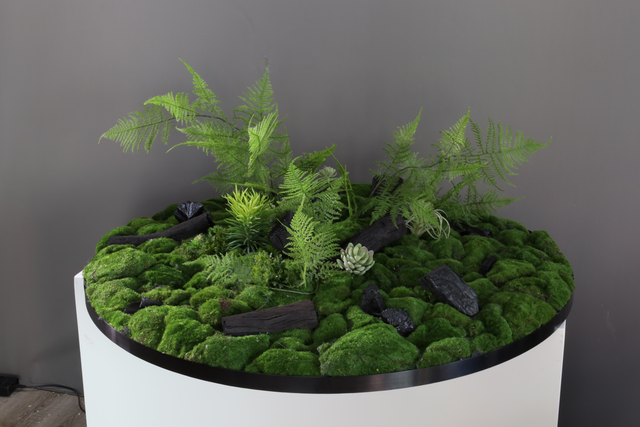 仿真苔藓造景 · MY-T-0160