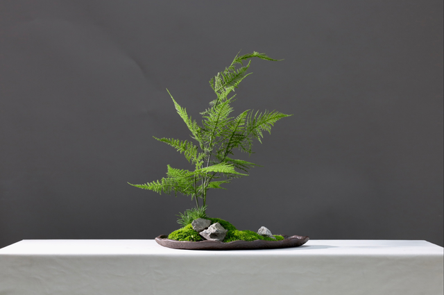 仿真苔藓造景 · MY-T-0131