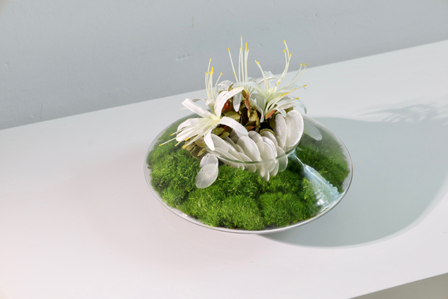 仿真苔藓造景 · MY-T-0186