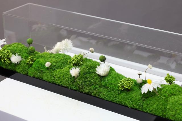 仿真苔藓造景 · MY-T-0064