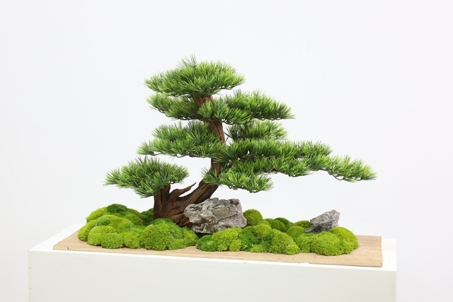 仿真苔藓造景 · MY-T-0043