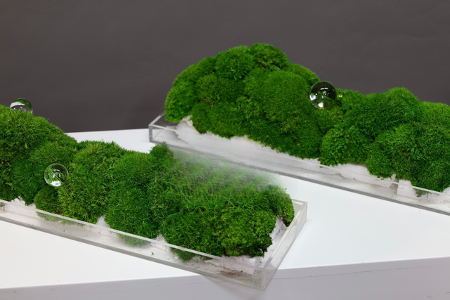 仿真苔藓造景 · MY-T-0218