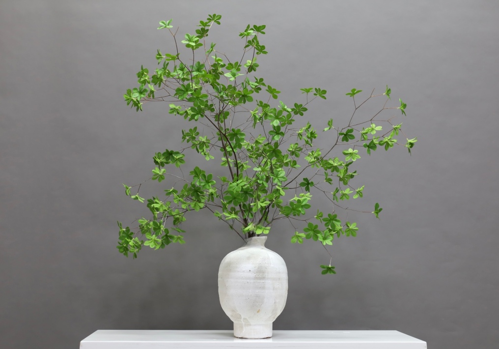 绿色 · 仿真花艺 · 图片编号 MY-B1-1457