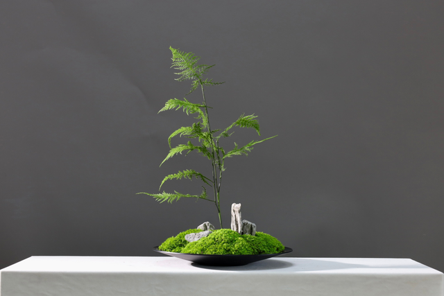 仿真苔藓造景 · MY-T-0129