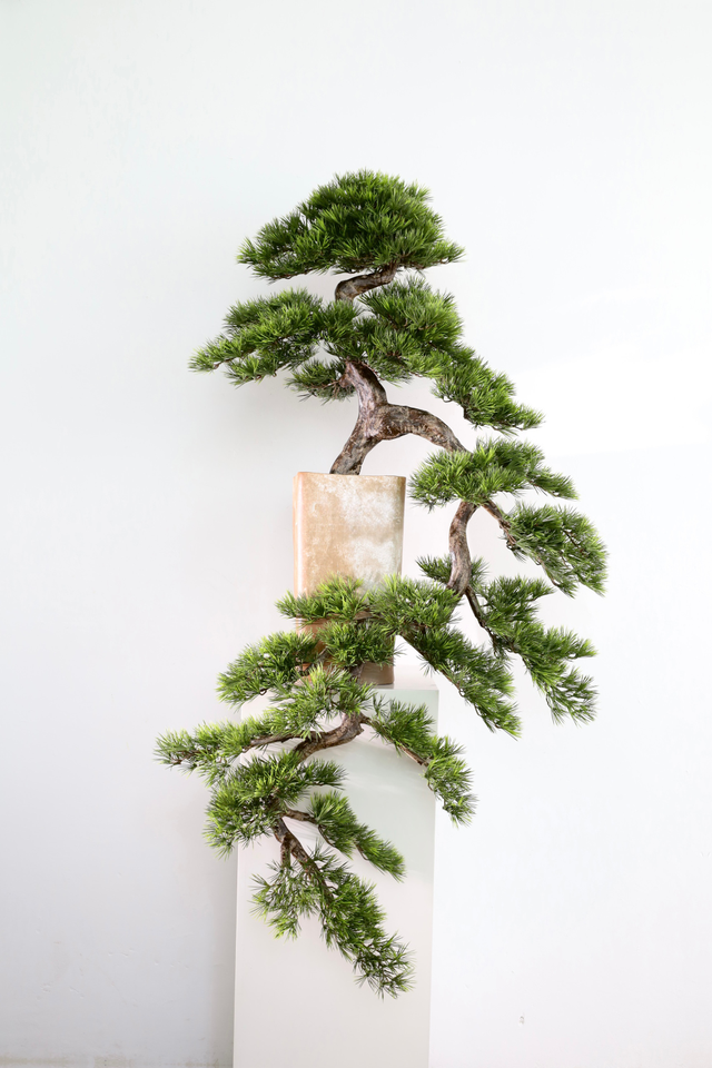 仿真苔藓造景 · MY-T-0150