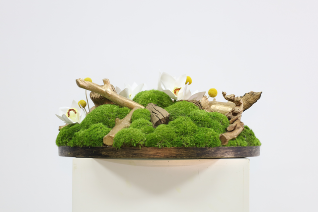 仿真苔藓造景 · MY-T-0058