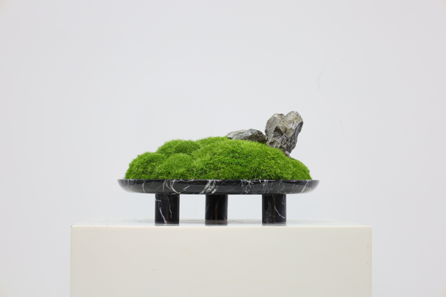 仿真苔藓造景 · MY-T-0027