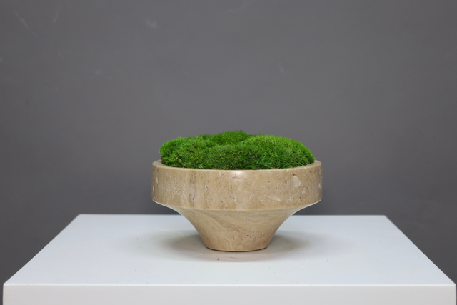 仿真苔藓造景 · MY-T-0199