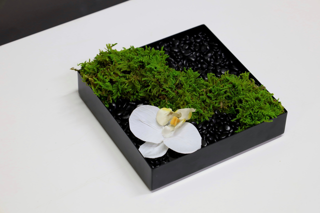 仿真苔藓造景 · MY-T-0036