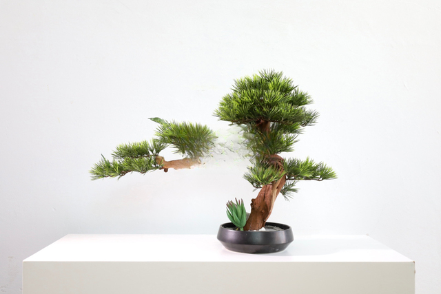 仿真苔藓造景 · MY-T-0156