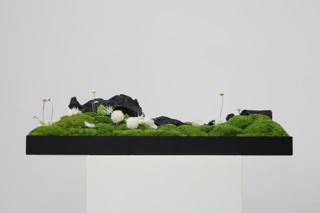 仿真苔藓造景 · MY-T-0004