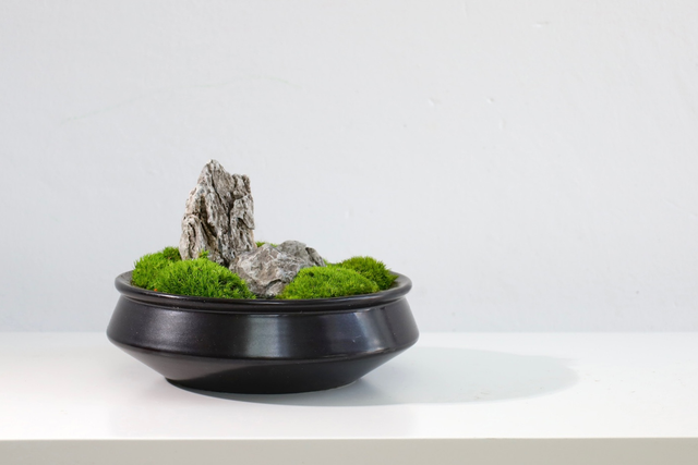 仿真苔藓造景 · MY-T-0108