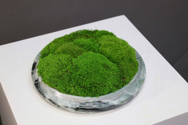 仿真苔藓造景 · MY-T-0213