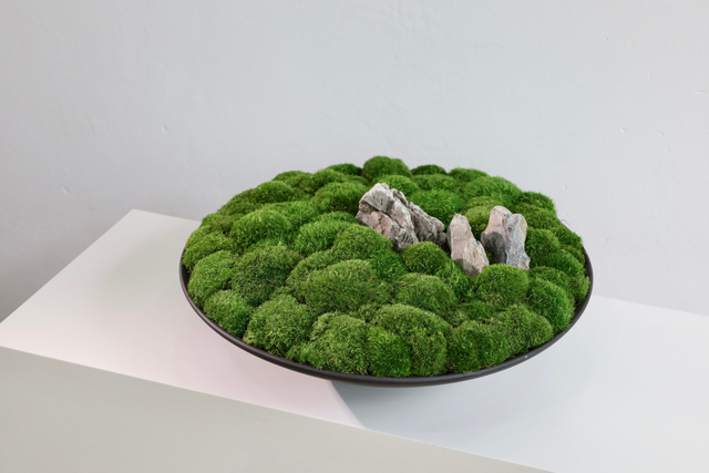 仿真苔藓造景 · MY-T-0209