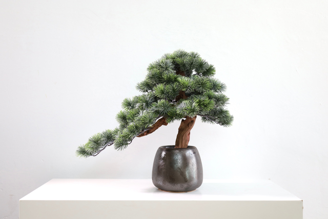 仿真苔藓造景 · MY-T-0154