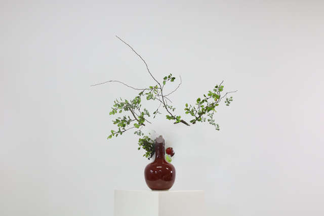 绿色 · 仿真花艺 · 图片编号 MY-M2-0131