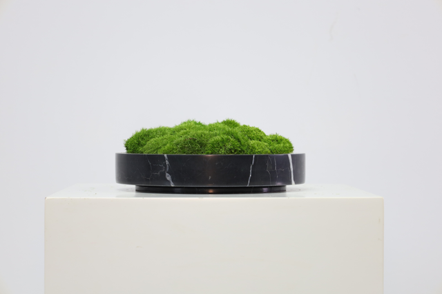 仿真苔藓造景 · MY-T-0029