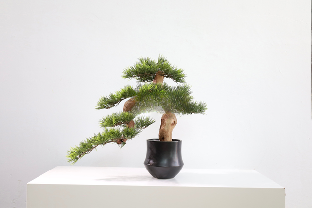 仿真苔藓造景 · MY-T-0155