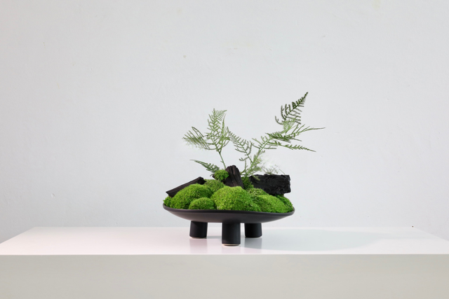 仿真苔藓造景 · MY-T-0204