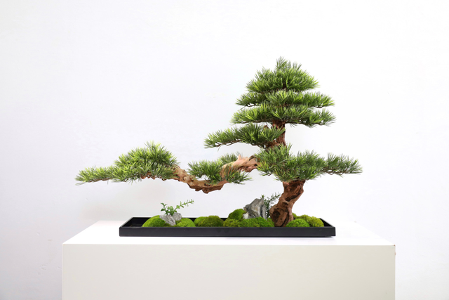 仿真苔藓造景 · MY-T-0152