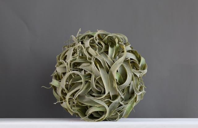 绿色 · 仿真花艺,直径40 cm